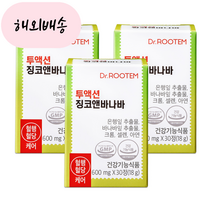 2+1 바나바잎영양제 은행잎 징코앤바나바 코로솔산
