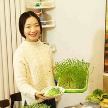 집에서 콩나물 기르기 숙주 상추 키우기 키트 세트 가정용 식물 재배기, 이중행, 4층