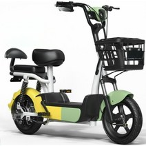 2인용전기자전거 가성비 유아동반 배달용 전기자전거 2인, 24A 정품배터리 + 배터리 100km, 48V