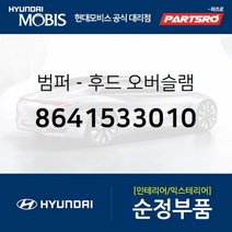 범퍼-후드(본네트) 오버슬램 (8641533010) 현대모비스 부품몰 쏘나타, 1개