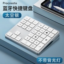 Procreate 프로크리에이트 블루투스 키패드 화이트 블랙 무선 키보드 백라이트, 스페이스 실버 [백라이트 X], FUNKING FBK28, 무선 블루투스