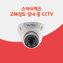 CCTV카메라 스카이렉스 SKYN-202DI 고화질 실내 적외선 돔카메라 감시카메라