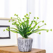 들꽃화방 플랜테리어 빈티지 조화 화분 인테리어소품 촬영소품 몬스테라, 01 알부카 넬소니, 1개