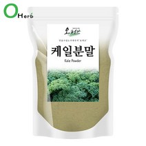 케일 가루 분말 파우더 케일주스 250g, 없음, 색상:단일상품