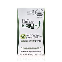 [비에날씬] BNR17 다이어트 유산균 비에날씬, 60정, 2개