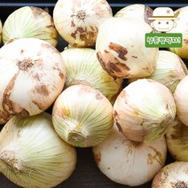 삼촌밥먹자 [무안직송] 황토 무안 햇 양파 (소)1kg3kg5kg10kg, 1kg