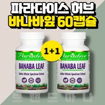 파라다이땡 허브 바나바잎 60 캡슐 파라다이스 코로졸산 코로솔산 고약사 약들약 2세트