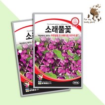 소래풀꽃 500립 세계종묘 화훼류 씨앗, 1개