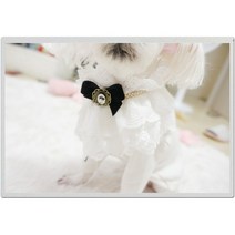 강아지 모노 리본 레이스 케이프 애완 동물 반려견 옷 목도리 S L 2가지 사이즈, S (28cm)