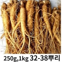 실속형인삼 5년근 수삼 국내산 250g 750g 1kg(믹서용 홍삼용 실속인삼), 실속인삼 1kg (35-40뿌리), 세척(x)