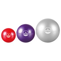 스타 소프트웨이트볼 EU3600 (2개입), 1.5kg(실버)