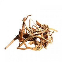 [바보사랑] 가지유목 30cm전후-어항용 자연소재 천연나무[헬로아쿠아], 상세 설명 참조, 상세 설명 참조