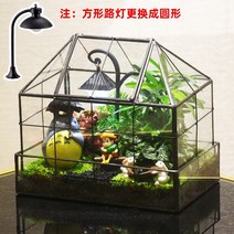 테라리움 키트 글래스 하우스 이끼테라리움 만들기 DIY 비바리움, 어린애같은(완제품)