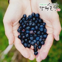 강원도 정선 유기농 냉동 블루베리 1kg 국내산