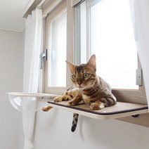 고양이 창문 창틀 해먹 캣워크 캣워커 대형 펫502