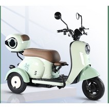 배달용 노약자 출퇴근용 전기자전거 노인 2인용 미니 소형 삼륜전기자전거 접이식, [72V고급형]1000W모터+23A