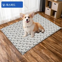 Z3JC 애완 동물 탈부착 세탁 가능 도톰 대형 방습 방수 물림 방지 침대의 매트리스., Z3JC 하늘에 별이 총총한 달 【회색 옥스퍼드 천】, 46cm*35cm(3-5근내용)
