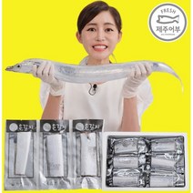 TV홈쇼핑 산지직송 제주어부 제주 은갈치 11마리 (33팩) 개별포장 세척 손질갈치, 11마리_(33팩)