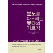 분노를 다스리는 붓다의 가르침:나를 괴롭히는 적들을 바르게 인식하고 현명하게 대처하는 방법, 담앤북스