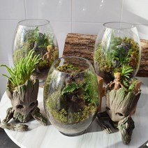 [천삼백케이] [바이래빗] 그루트 이끼테라리움 diy, 단품, 옵션선택