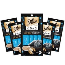 쉬바 멜티 가다랑어맛 4p X5