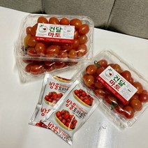 스테비아 방울 토마토 500g 1kg 3팩 퇴촌 화천 강원도 찰 스낵 토마토 다이어트, 스테비아방울토마토 500gx4팩