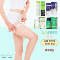 식약처인증 다이어트 체지방감소 녹차 카테킨, 위드바이오 마이핏