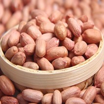 생알땅콩 500g 국산 땅콩 생땅콩 알땅콩 볶음용 조림용 반찬용 쪽빛누리, 본품