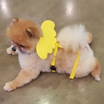 예펫 날개 하네스 강아지 고양이 가슴줄, 하네스_옐로우_M