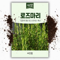 로즈마리 씨앗 (70립) 허브