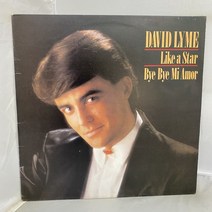 DAVID LYME LP / 엘피 / 음반 / 레코드 / 레트로 / AA4208