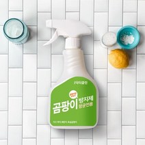 [크린리빙] 디앤디 곰팡이 항균 전용 방지제 500ml