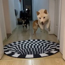 싱크홀 3D 입체 착시매트 80cm 반려동물낚시 놀이매트