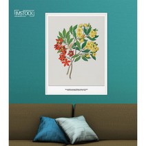 아이엠스톡 인테리어 액자 Ochna arborea 오크나 아르보레아 식물 030 캔버스액자, 화이트원목