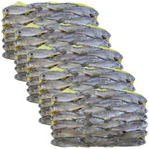 힘찬푸드 제주 참조기 48미 3.3kg, 5박스