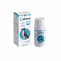 베토퀴놀 질켄 중대형견 보조제 225mg x 30p, 불안과 스트레스 완화, 2개