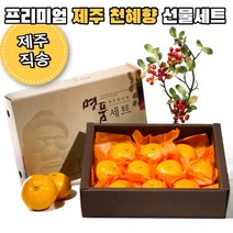 제주 천혜향 선물세트 22년 설 선물 제주도 프리미엄 천혜향 2kg 3kg 5kg, 2kg 대과(05-06과 내외)