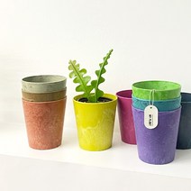 아트스톤 그로워클레어 플라스틱 저면관수 인테리어 화분, 테라