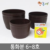통화분 인테리어 플분 홈가드닝, 통화분 8호
