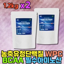 류신 농축유청 시니어 어르신 동물성 단백질 보충제 가루 노인 식사대용 멸치탈출 한끼대용 쉐이크 BCAA 퓨어 프로틴 프로테인 고령친화식품 WPC 엠비피 MBP 운동전후 영양식 AMINO