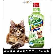 강아지양치 고양이가그린 펫스케일링 강아지바르는치약 애견치약, 1개, 1개 1개