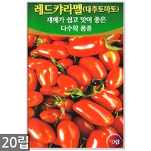 청농종묘 레드 방울토마토 씨앗 30립 방울토마토씨앗 대추토마토씨앗 방울토마토씨 대추토마토씨, 05_레드대추토마토(30립)
