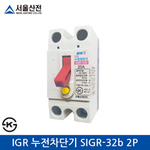 서울산전 IGR 누전차단기 SIGR-32b 2P 20A/30A, 30A