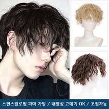 곱슬머리 파마 남성가발 블랙 스핀스왈로펌 남자 아이돌 통가발, 1개, 브라운C