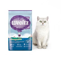 동동이네 고양이 사료 웰츠 올라이프 캣 2.1kg 6kg 그레인프리 영양성분 좋은 소포장 사료 2종 중 골라담기, 2.1kg 1개