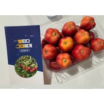 영주 별사과 꿀사과 선물용 꽃모양 세척사과 1.2kg 가정용 18과 22과, 1개, 별사과/1.2kg/22과 내외