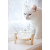 개밥주는아빠 크립토메리아애견식탁 애견원목식탁, 개밥의 도토리-삐리삐리 UFO, 1구-1개