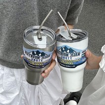 얼음이녹지않는텀블러 대용량 900ml, 실버 1개(빨대 브러쉬 포함)