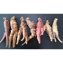 [원수상사] 백두산 야생더덕 1kg 다년근 자연산더덕, 1개