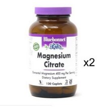 블루보넷 마그네슘 시트레이트 400mg 120정x2병 2팩